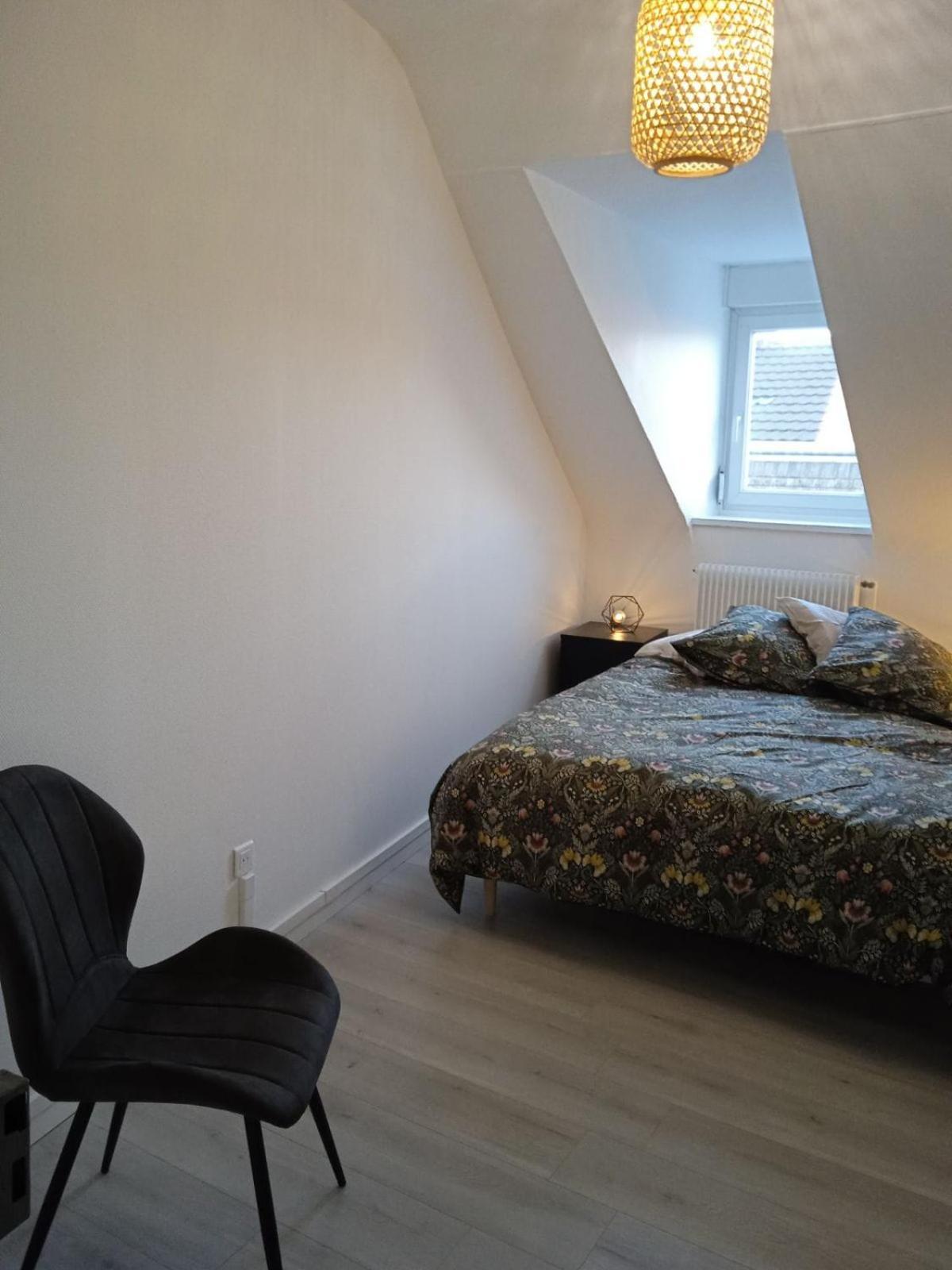 La Mulhousienne F3 Centre Ville Mulhouse Eksteriør bilde