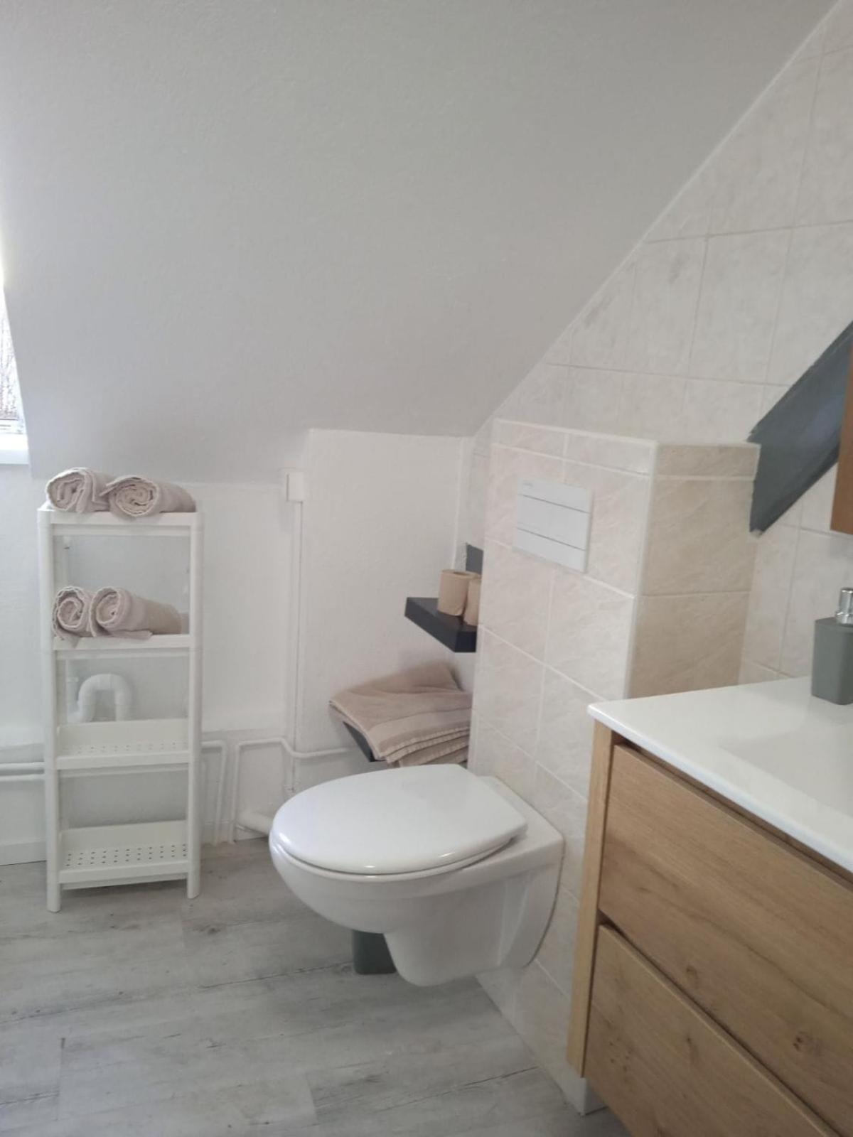 La Mulhousienne F3 Centre Ville Mulhouse Eksteriør bilde