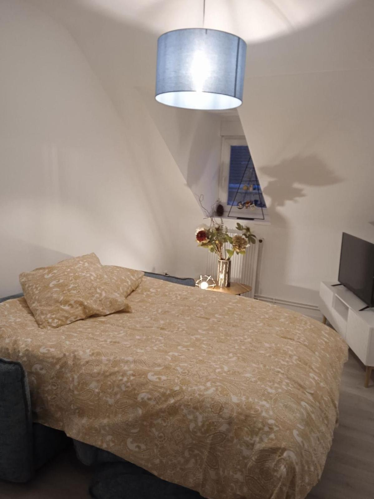 La Mulhousienne F3 Centre Ville Mulhouse Eksteriør bilde