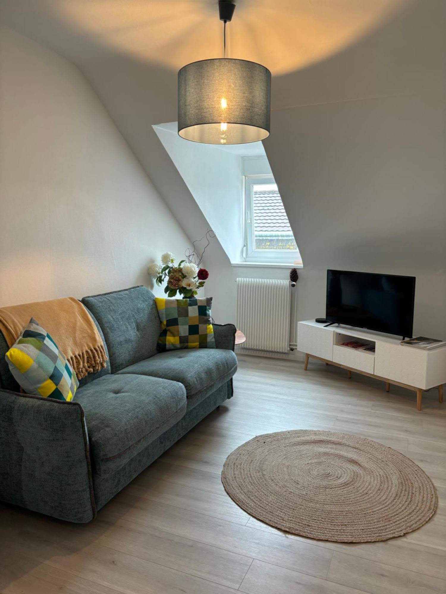 La Mulhousienne F3 Centre Ville Mulhouse Eksteriør bilde